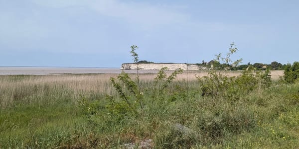 A short trip along the seaside !